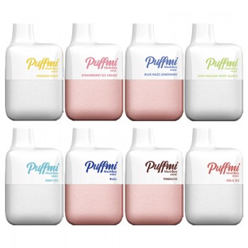 Puffmi Meshbox Mini Kit 600 Puffs