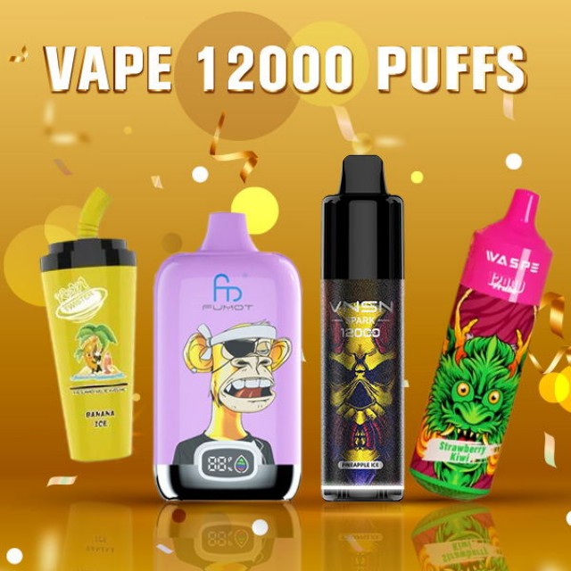 Top 4 Vape 12000 Puffs