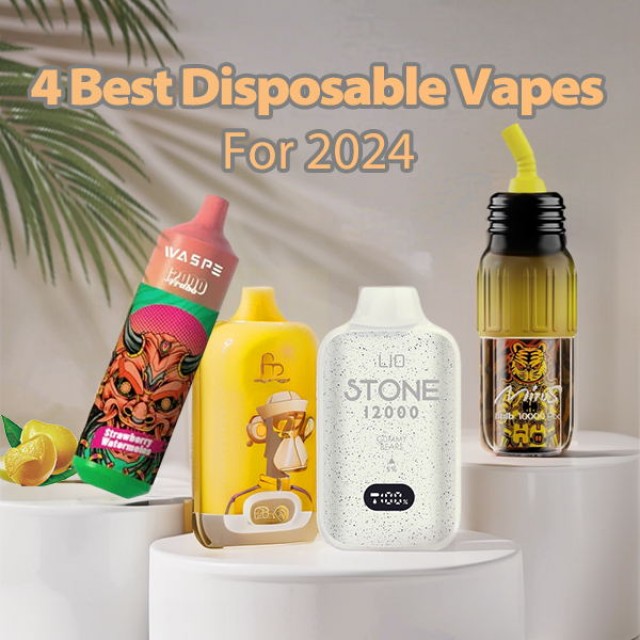 4 Best Disposable Vapes For 2024