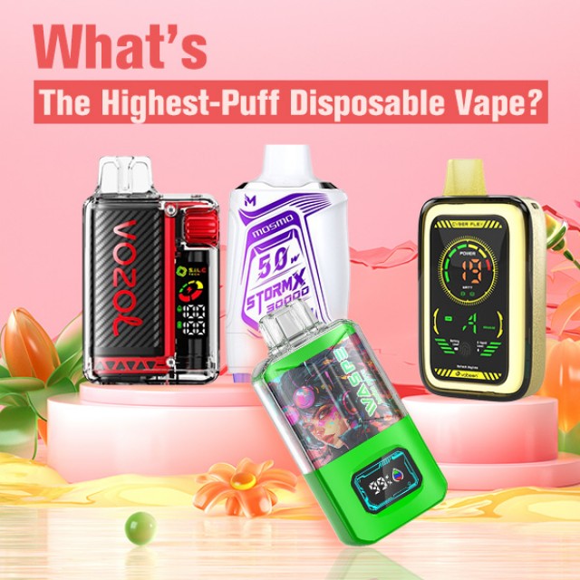 What About The Highest-puff Disposable Vape?