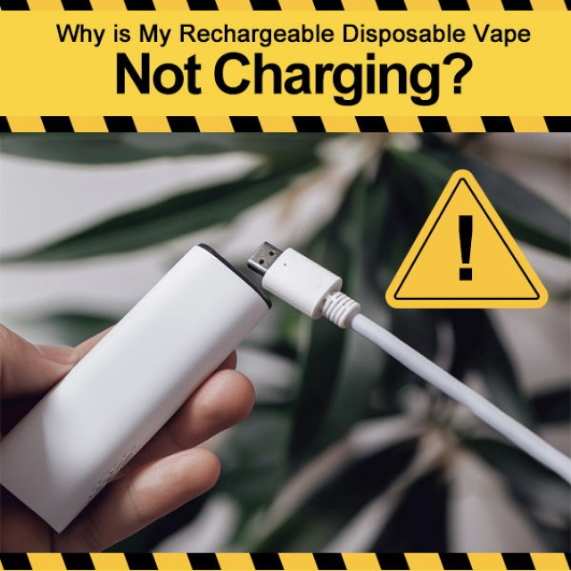 Why is My Rechargeable Disposable Vape Not Charging?