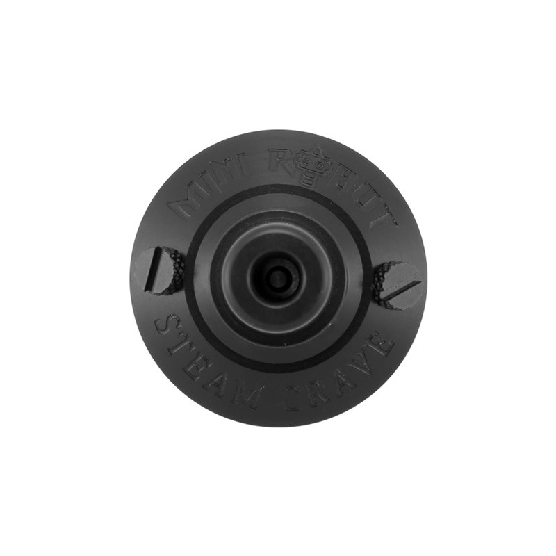 Steam Crave Mini Robot RTA