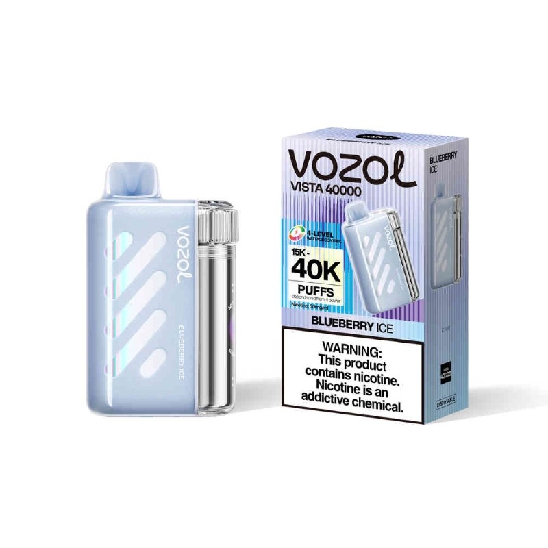 blueberry ice Vozol Vista 40K