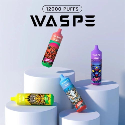 waspe 12000 disposable vape best
