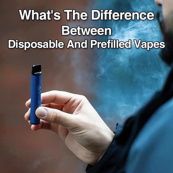 disposable and prefilled vapes