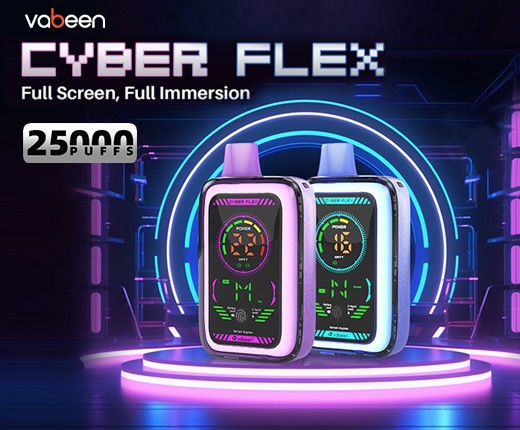 Vabeen Cyber Flex 25000