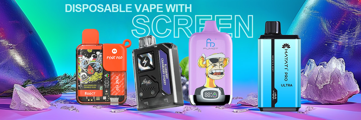 Disposable Vape with Screen