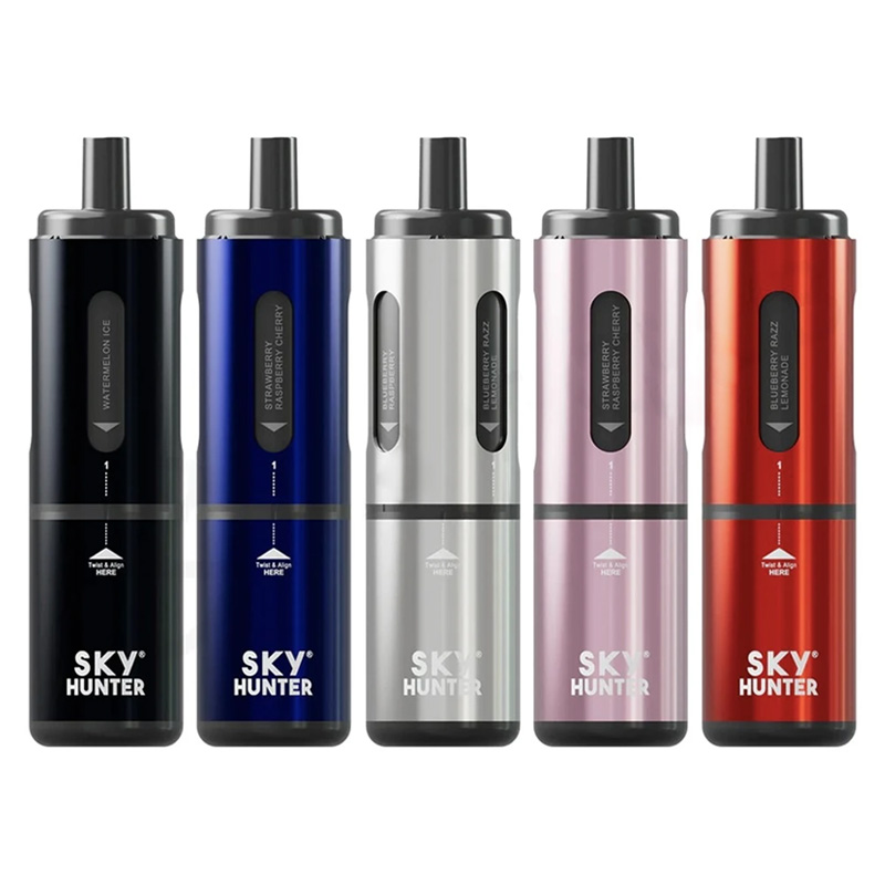 sky hunter 2600 disposable vape sale