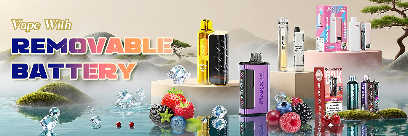 Vape With Removable Battery